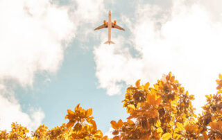 plane overhead